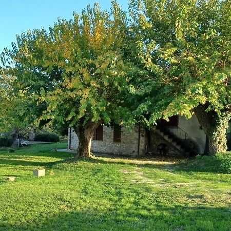 Agriturismo Canonici Villa Amelia Exterior foto