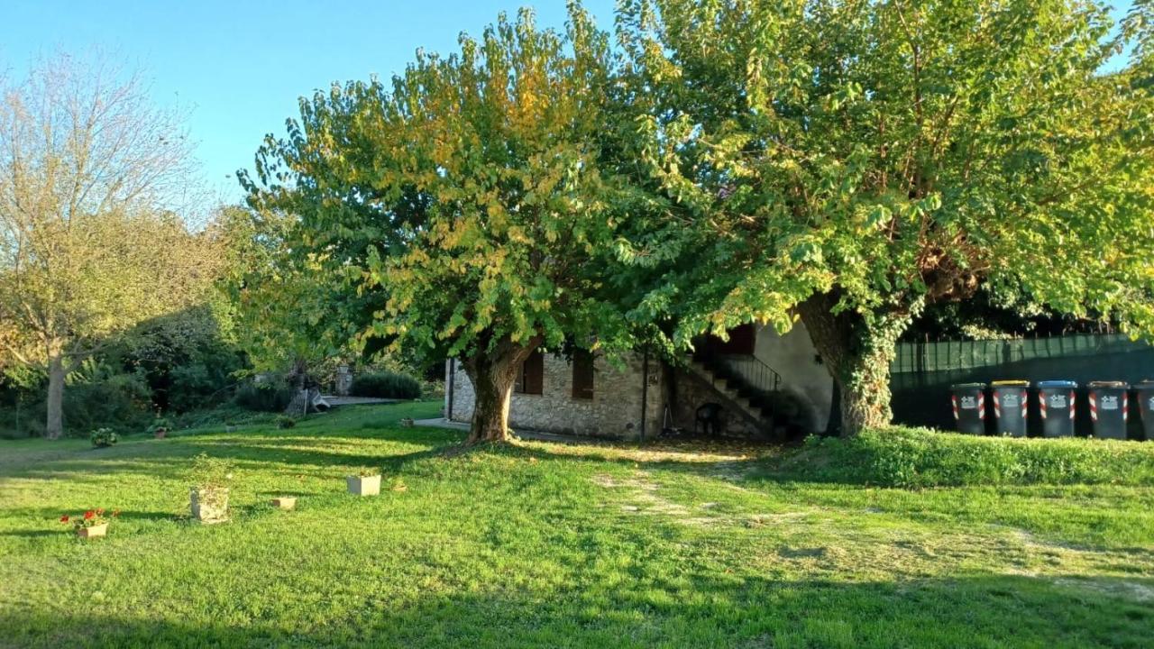 Agriturismo Canonici Villa Amelia Exterior foto